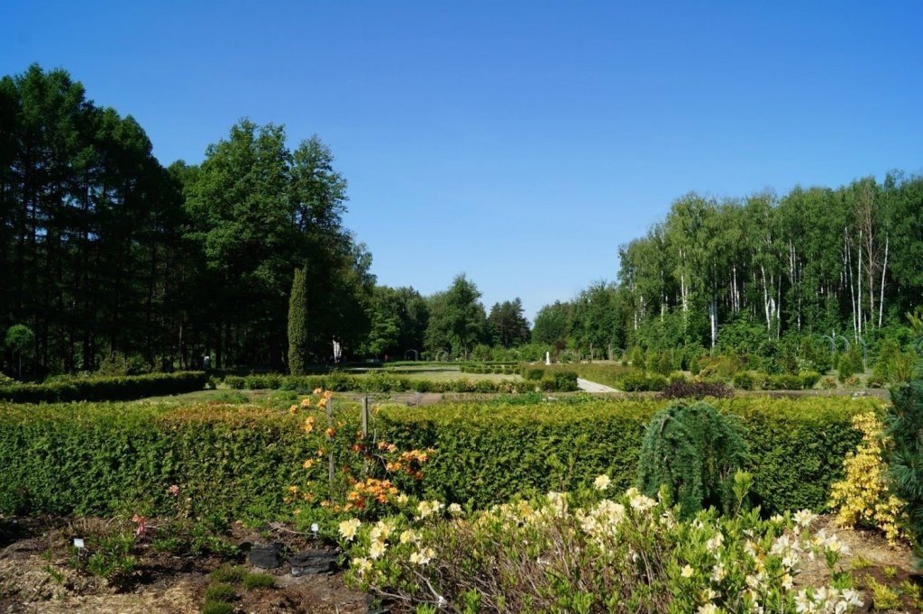 Йошкар ола ботанический сад фото