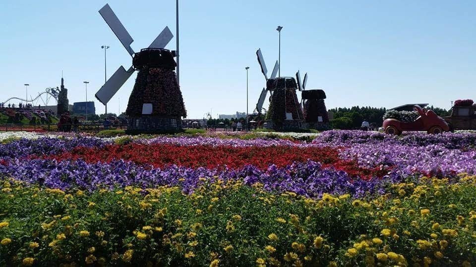 Сад чудес гайд. Сад чудес Озерск.