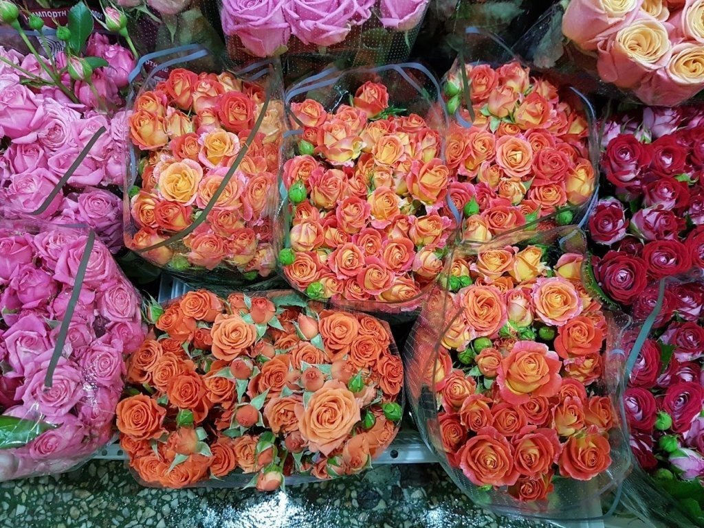 Рижский рынок цветов  (Россия) с фото и отзывами