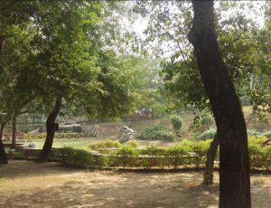 Парк Taj Nature Walk