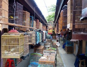 Рынок животных