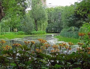 Ботанический сад МГУ: Аптекарский огород