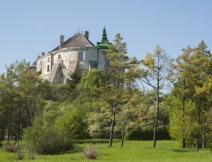 Фото Олеський замок