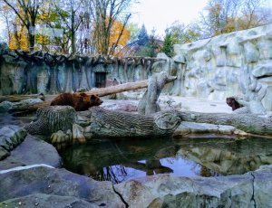 Фото Киевский зоопарк