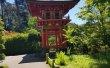Фото Японский сад «Джапанес Ти Гарден» 8