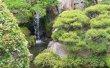 Фото Японский сад «Джапанес Ти Гарден» 9