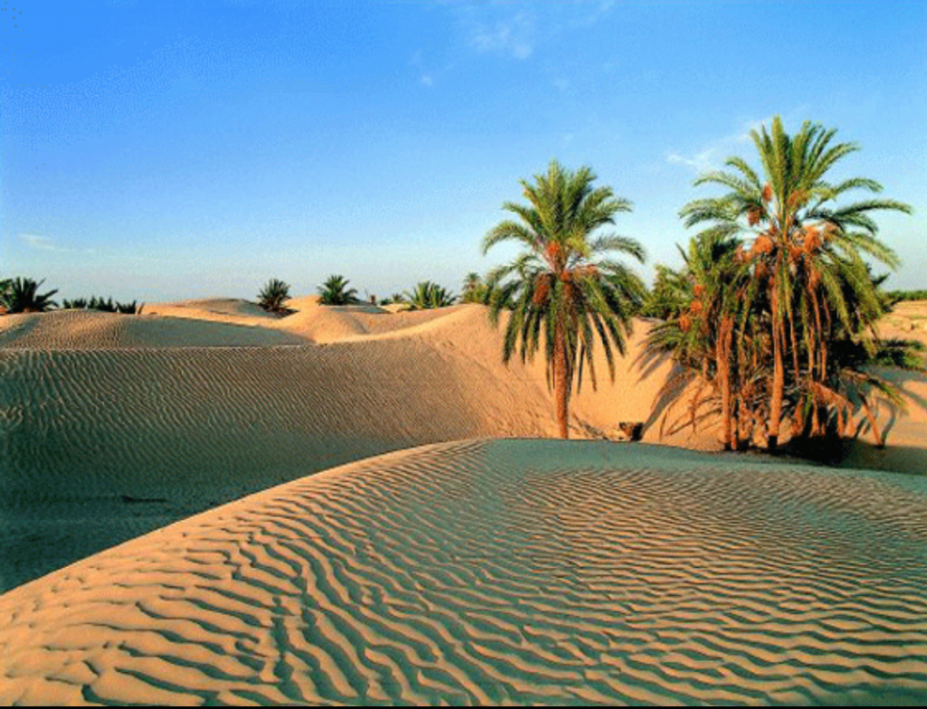 Пустыня сахара в египте фото