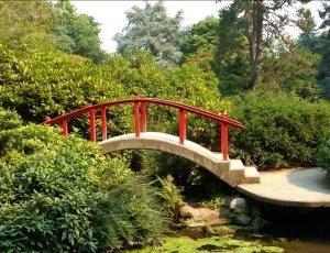 Японский сад «Кубота Гарден»