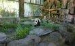 Фото Шанхайский парк диких животных 6