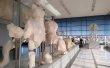 Фото Новый музей Акрополя 7