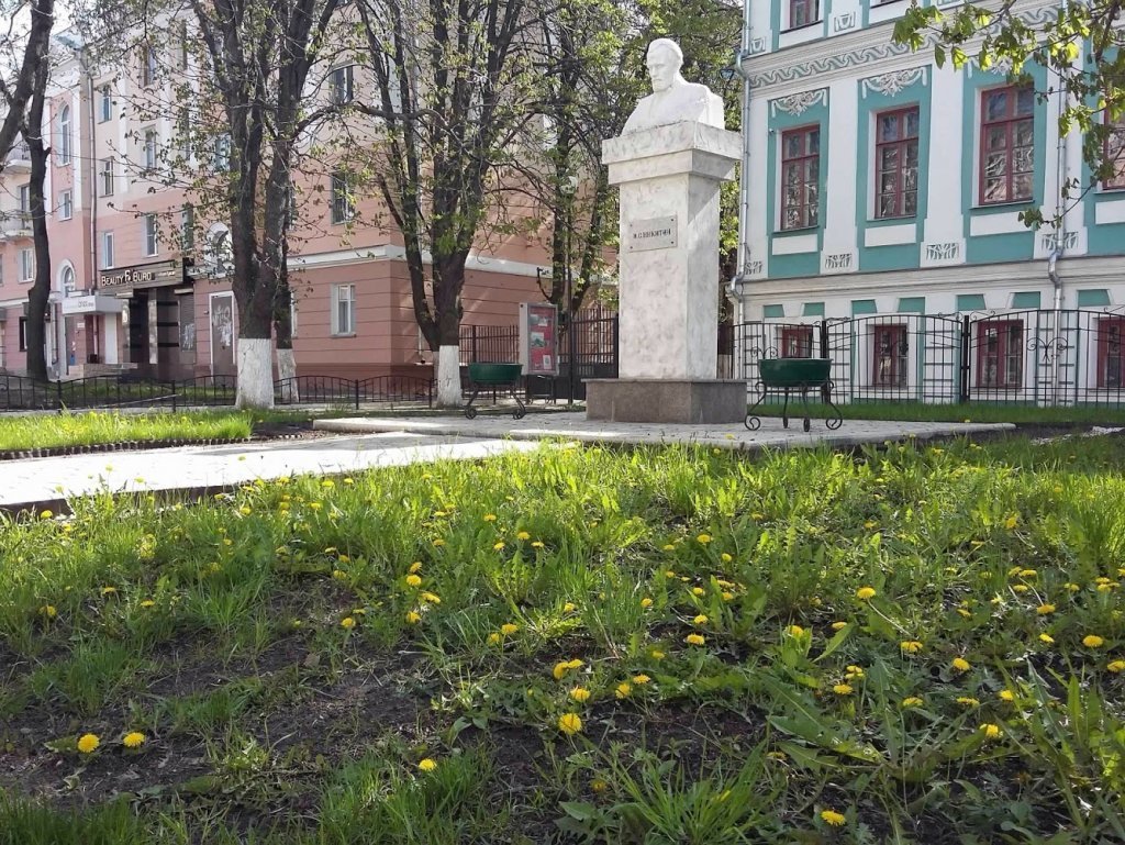 Город областного воронеж. Литературный музей Воронеж. Воронежский областной литературный музей имени и. с. Никитина. Ул Плехановская Воронеж литературный музей Никитина. Плехановская 3 Воронеж.