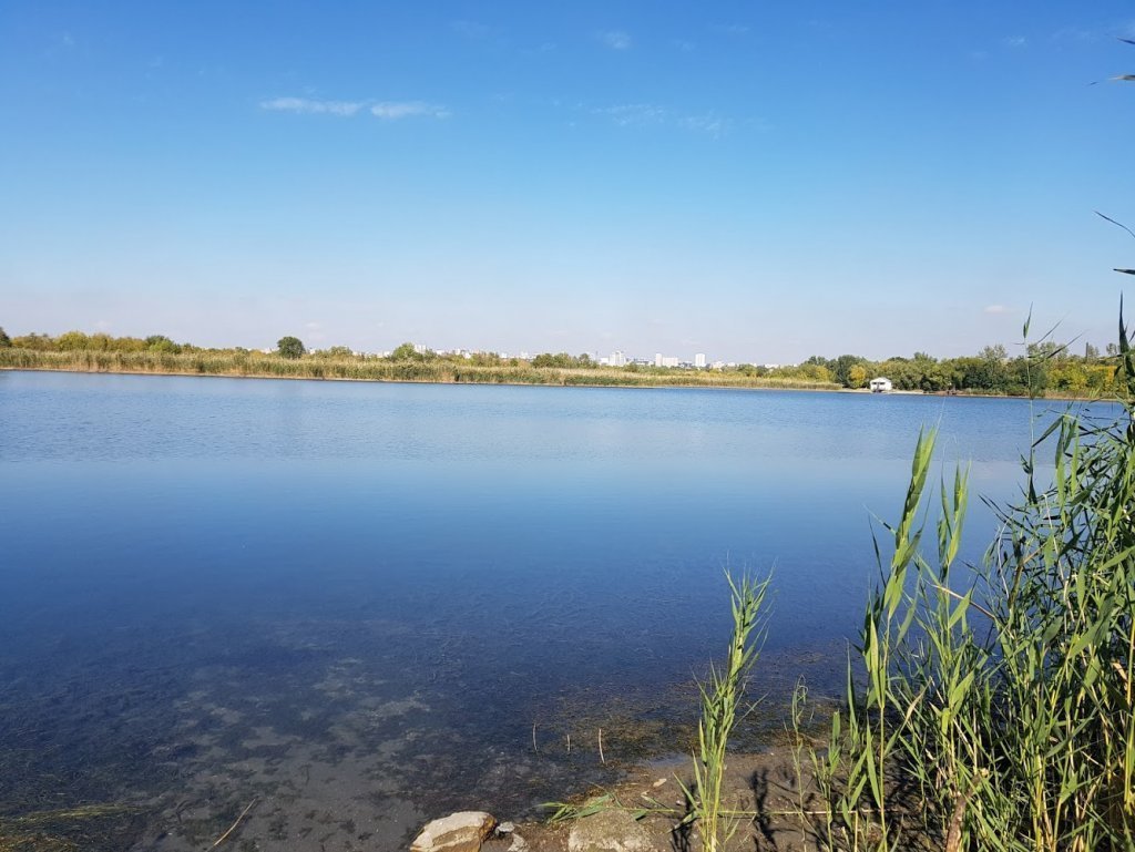 Самарское озеро самарское ростовская область фото