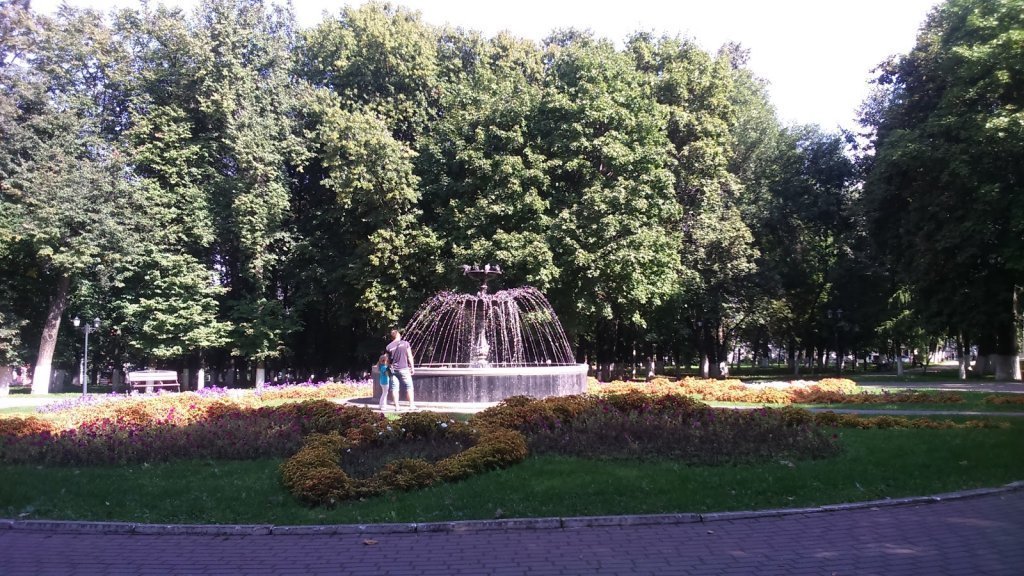 Парк липки москва. Парк Липки во Владимире. Парк Липки Щербинка. Городской парк Липки Тульская область.