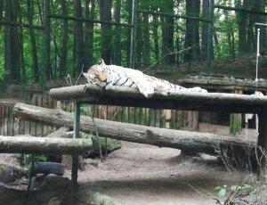 Фото Зоопарк в Гданьске