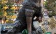 Фото Памятник собаке Хатико в Токио 2