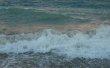 Фото Пляж «Дельфин» в Сочи 1
