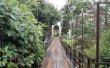 Фото Подвесной мост через реку Дагомыс 5