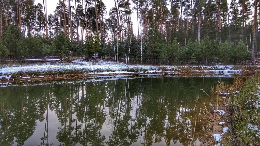 Озеро Лебяжье Сысерть. Лебяжье озеро Казань. Лебяжье озеро в Бобровском районе. Озеро Лебяжье Екатеринбург.