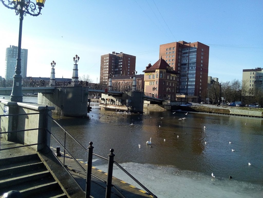 Мост влюбленных калининград фото