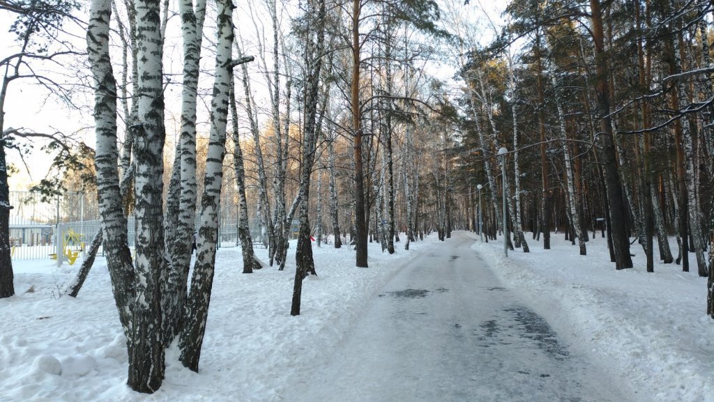 Гилевская роща