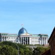 Фото Президентский дворец в Тбилиси 9