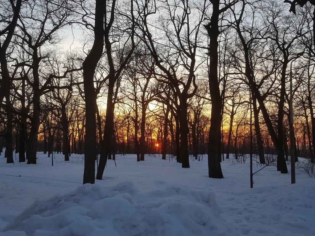 Загородный парк