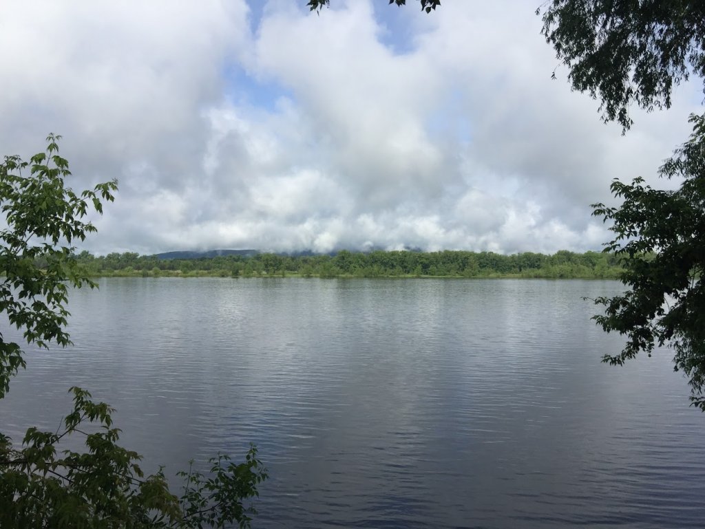 Овраг фото в природе