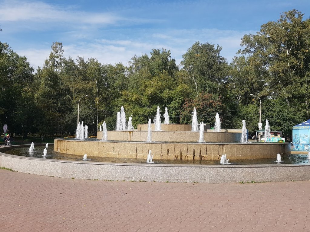 Березовая роща новосибирск фото