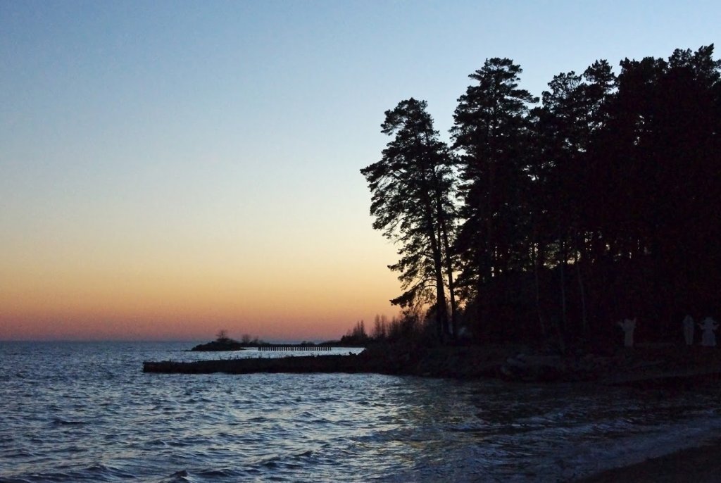 Дачи на обском море новосибирск. Парк у моря Обского Новосибирск. Обское водохранилище. Обское море фото сейчас. Качели на Обском море Новосибирск.