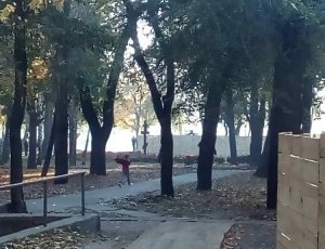 Парк имени Писаржевского