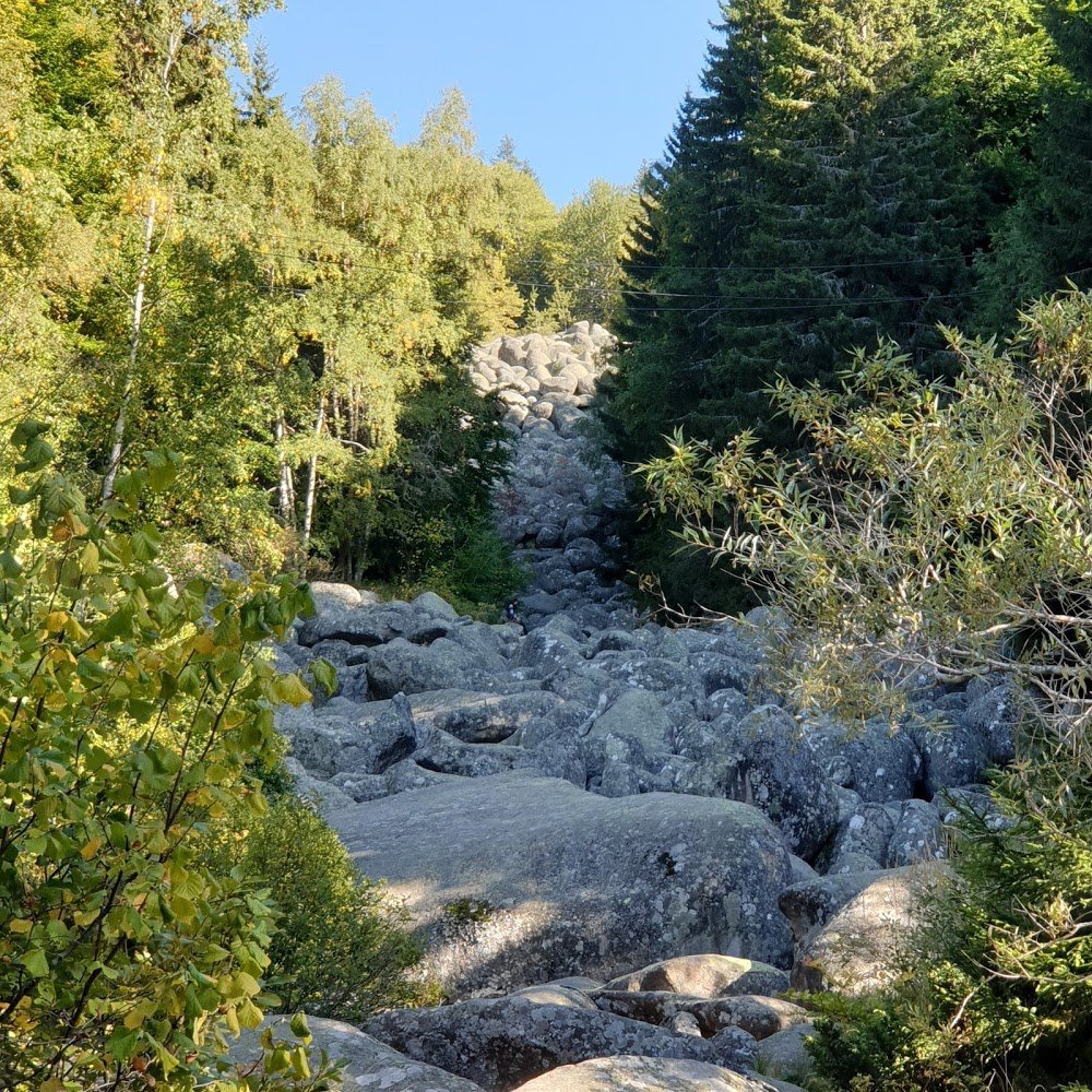 Парк софия болгария фото