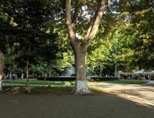 Фото Английский парк в Ереване