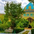 Фото Голубая мечеть Еревана 8