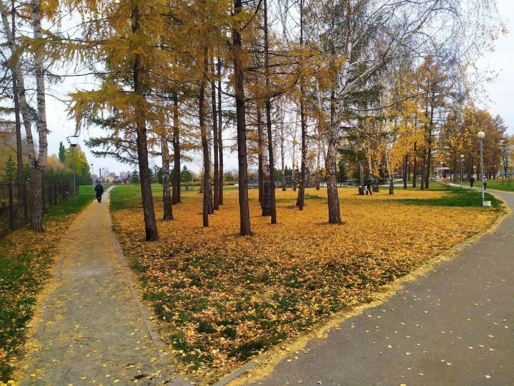 Сад Сибирь в Омске (Россия) с фото и отзывами