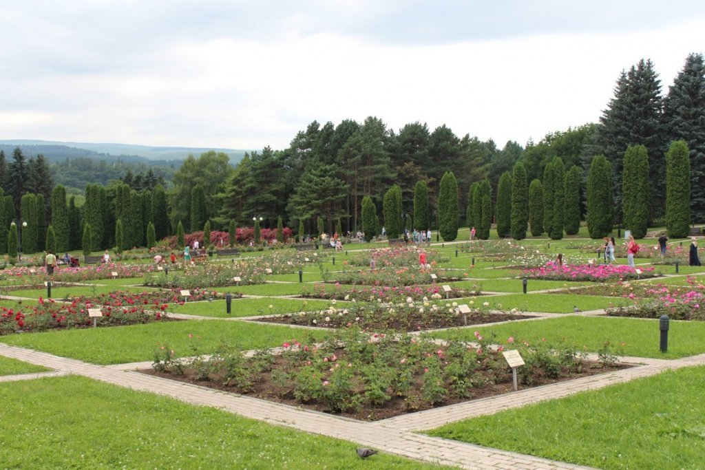 Нарзанная долина в кисловодске фото