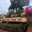 Фото Тигриный зоопарк Сирача 9