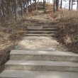 Фото Лестница 400 ступеней в Кисловодске 6