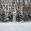 Фото Памятник поэту-партизану Д.В.Давыдову 9