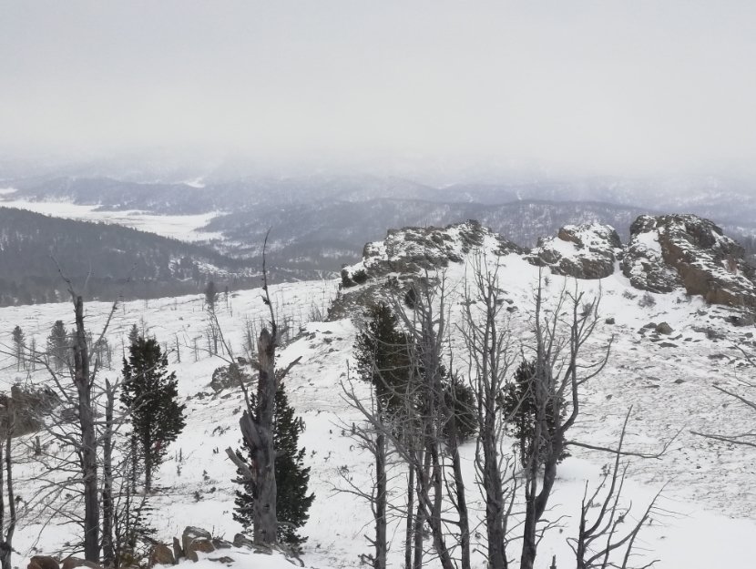 Алтай семинский перевал фото