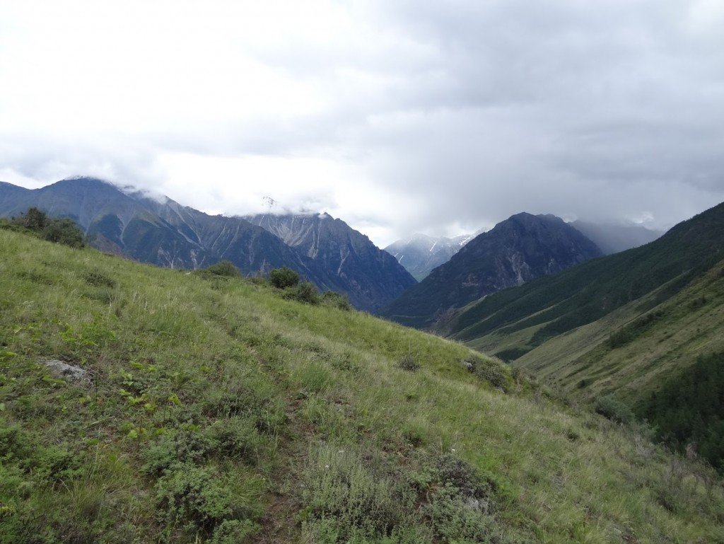 Сайлюгемский парк Республики Алтай гора дозор