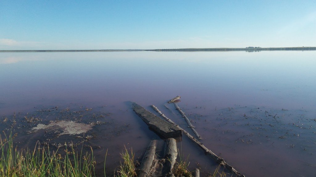 Силантьевское озеро Алтайский. Малиновое озеро Алтайский край. Малиновое озеро Егорьевский район. Томск-озеро малиновое.