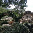 Фото Античный древний город парка Термессос 5