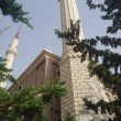 Фото Мечеть Меркез 6