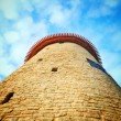 Фото Высокая башня в Пскове 7