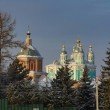 Фото Успенский кафедральный собор в Смоленске 9