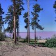 Фото Малиновое озеро Алтайского края 7