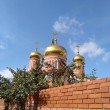 Фото Знаменский женский монастырь в Барнауле 6
