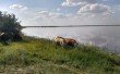 Фото Малиновое озеро Алтайского края 3