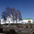 Фото Спасо-Преображенский мужской монастырь в Муроме 7