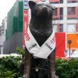 Фото Памятник собаке Хатико в Токио 8